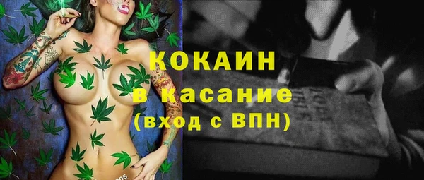 прущие крисы Аркадак